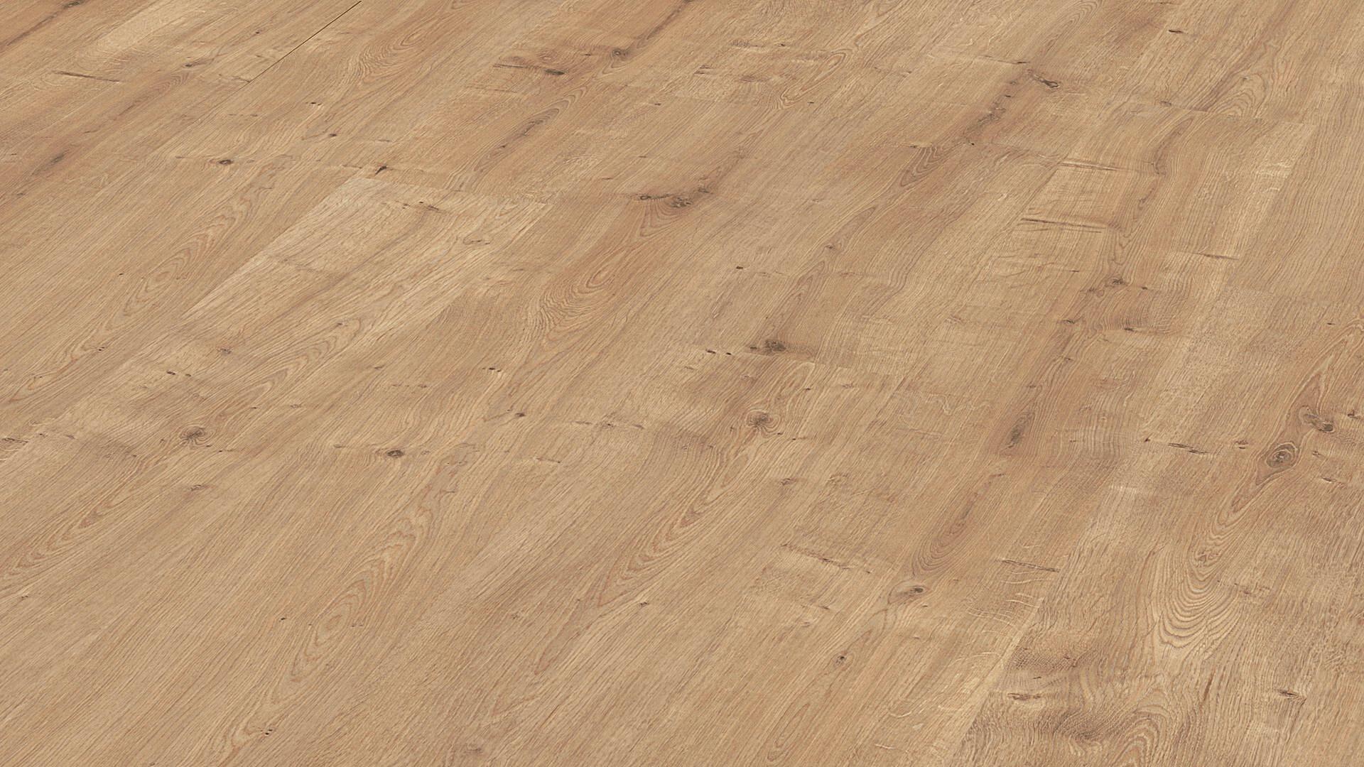 6396_LC55S_CHENE MARRAKECH