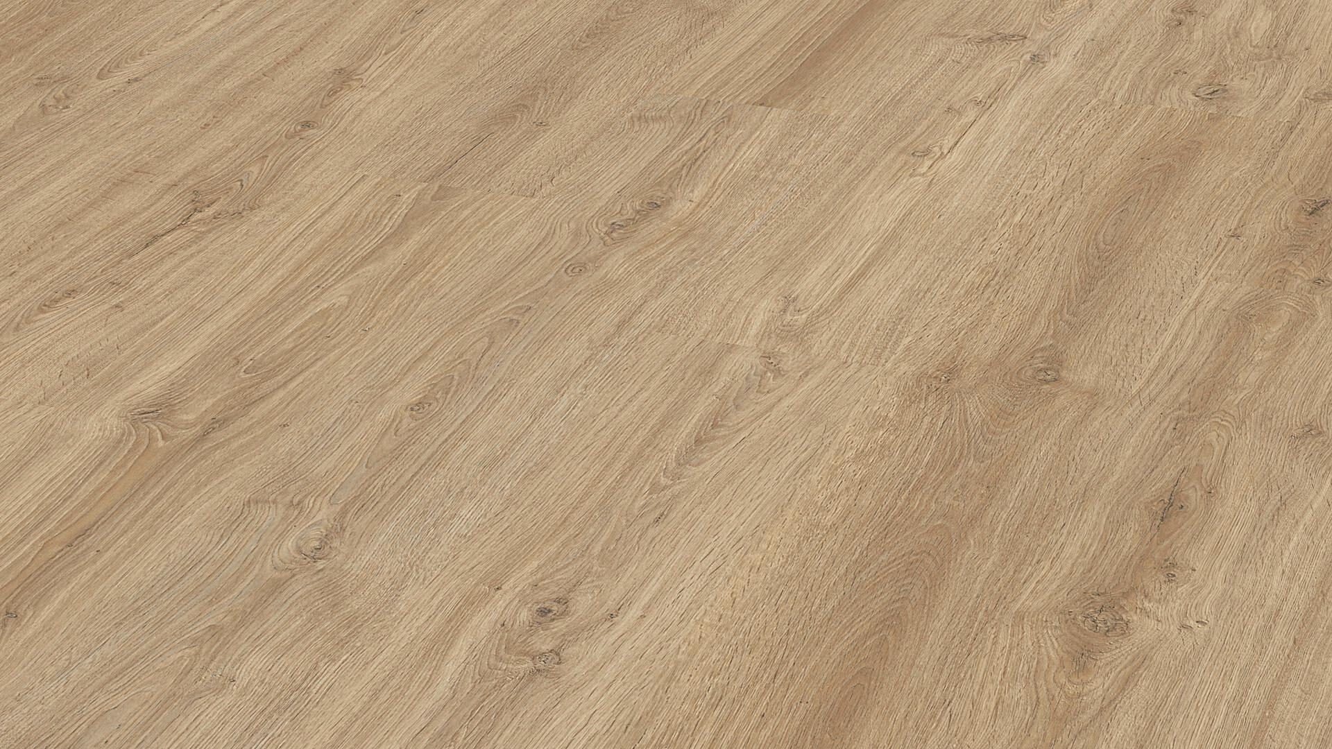 6414_LC150_CHENE CASABLANCA