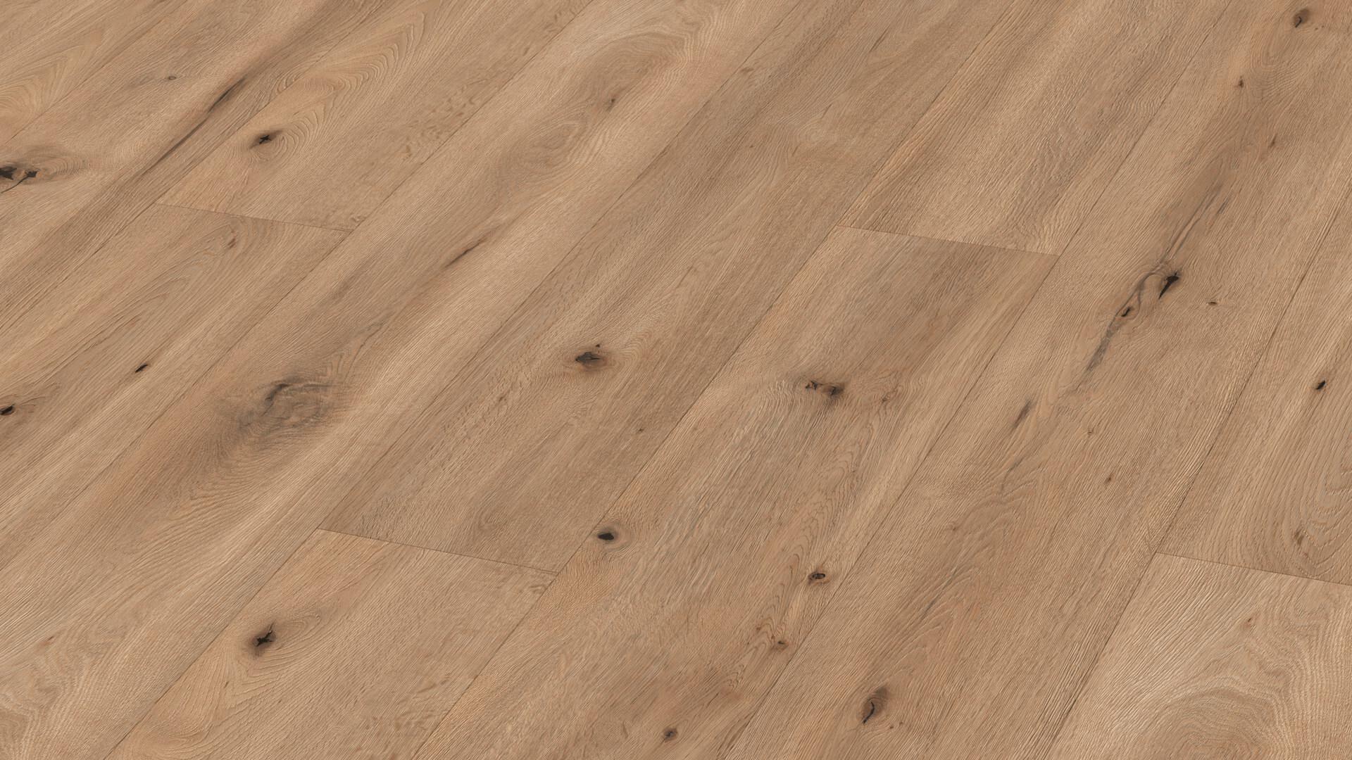 6843_LL150S_CHENE CAMPAGNE CLAI