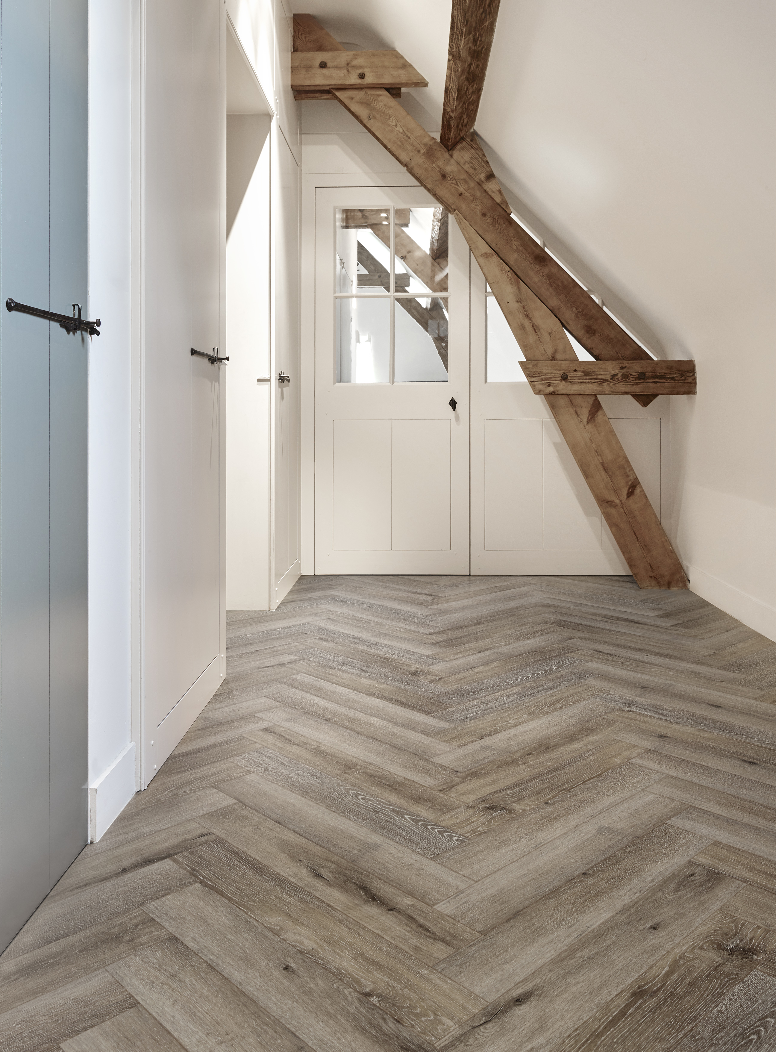 ACORN (50 LVPEH 854)_NATURALS