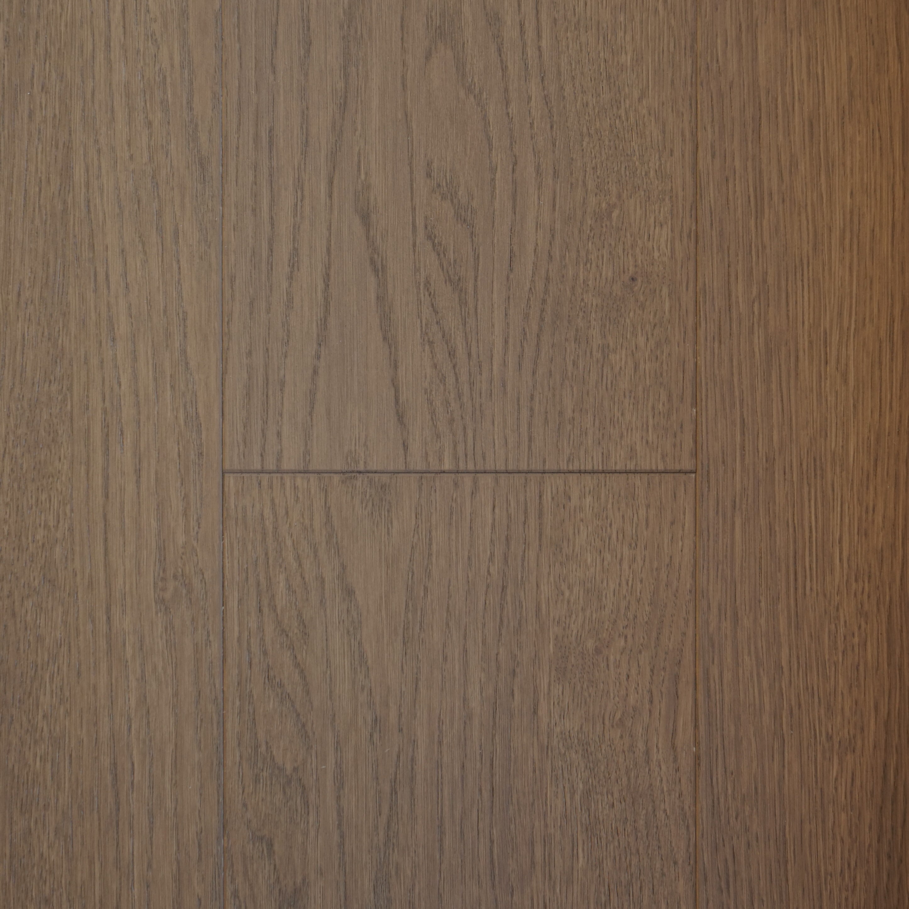 AUTHENTIC CANNES X10201