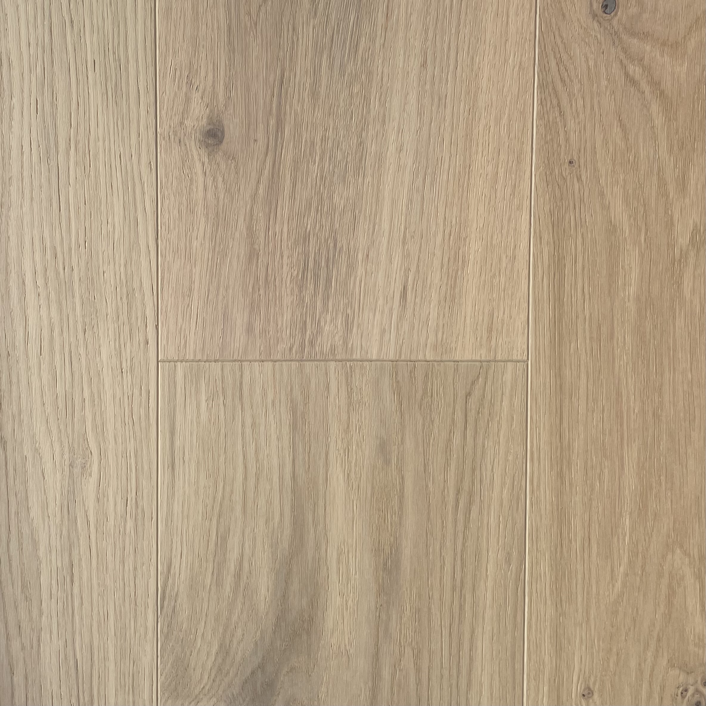 AUTHENTIC TOULOUSE X50202