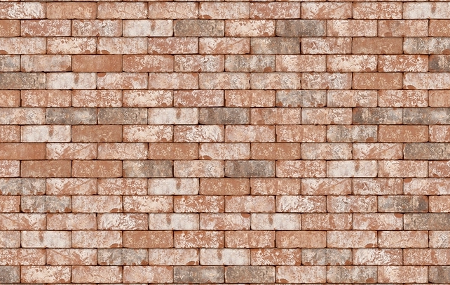 BRIQUE VDS VIEUX DUC M50 190X90X50