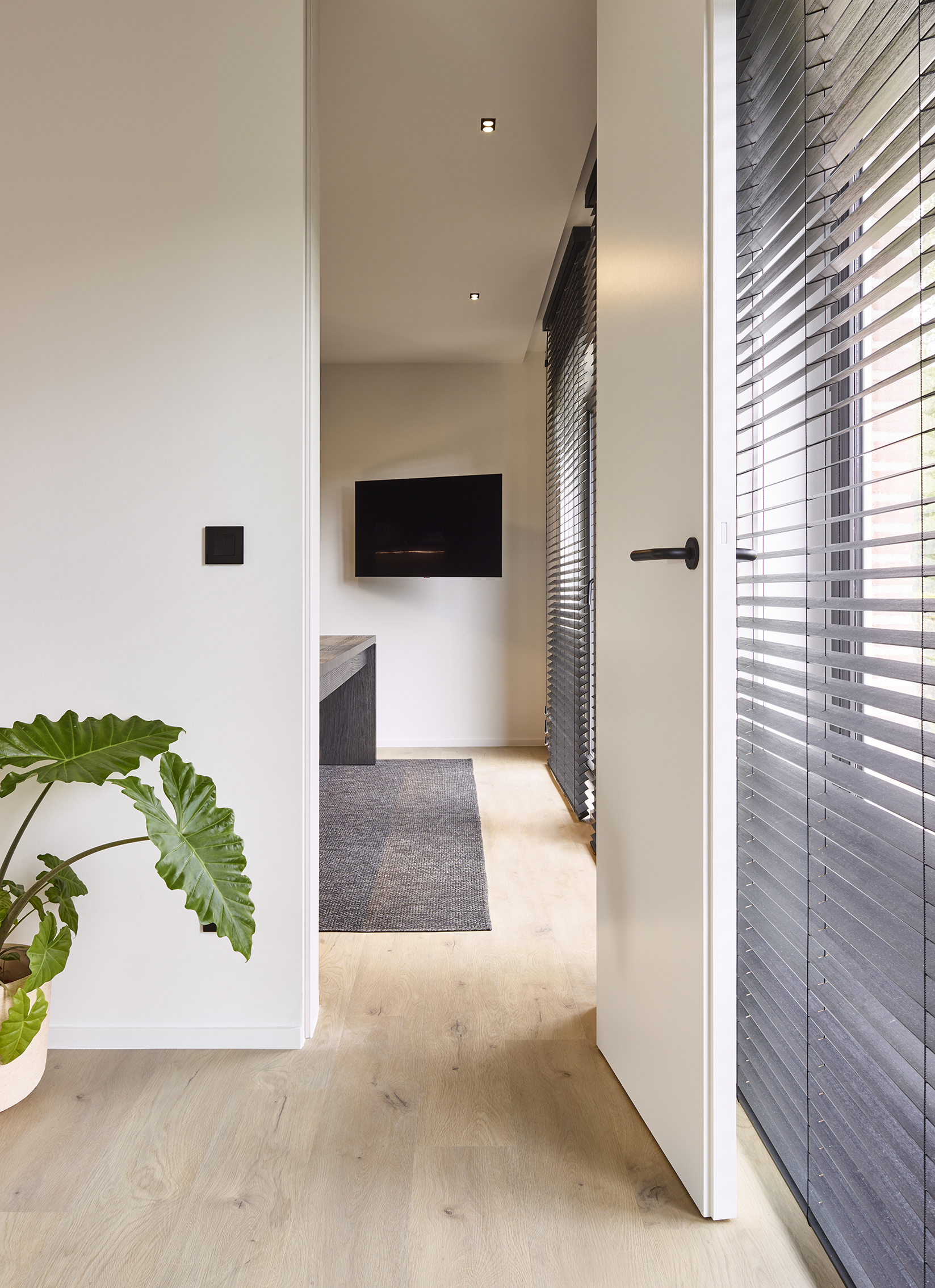 FOREST (50 LVP 806)_NATURALS