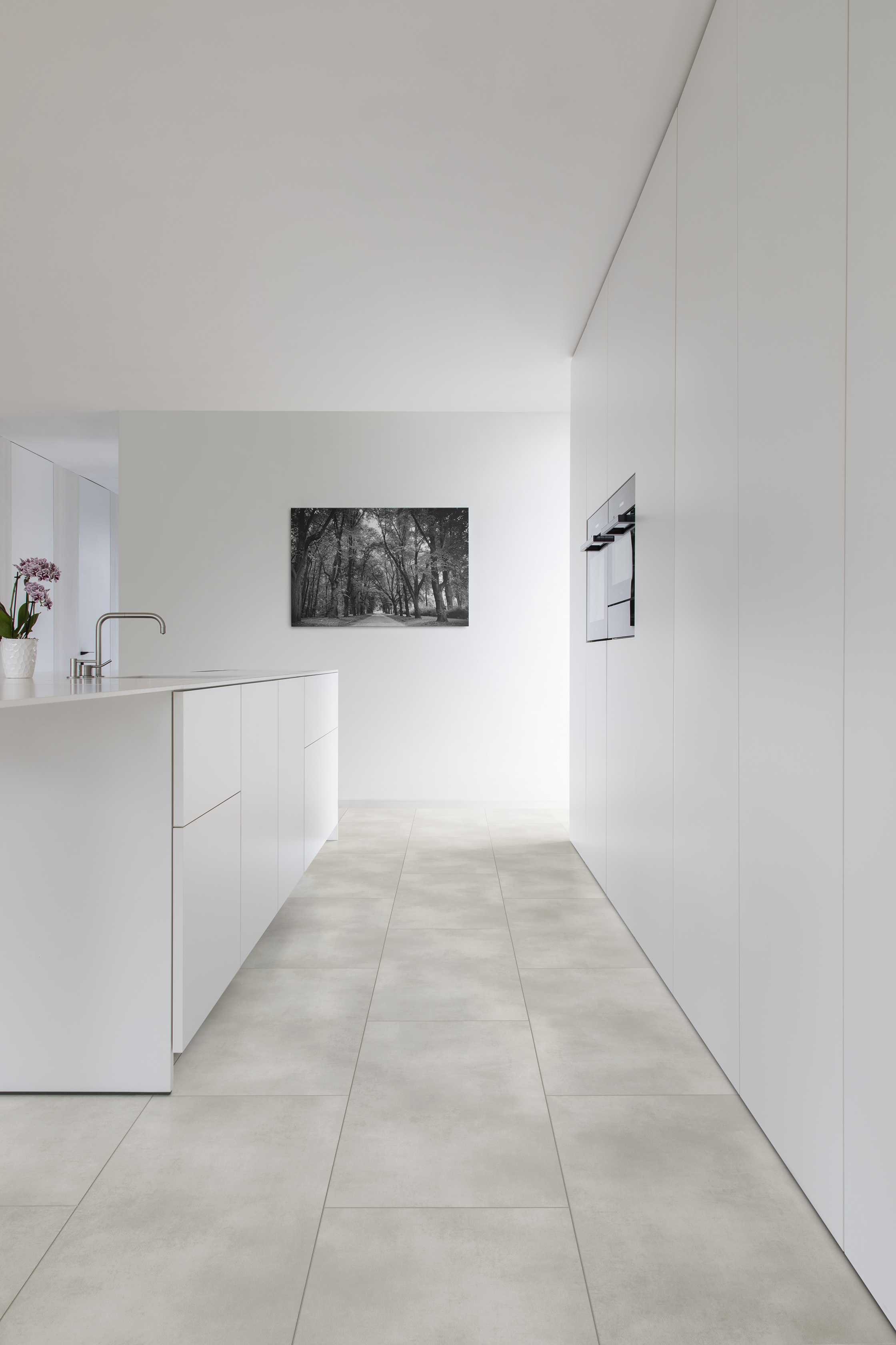 THABOR (50 LVTE 1903)_NATURALS